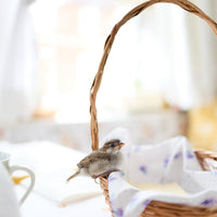 Floral Birds Hanging