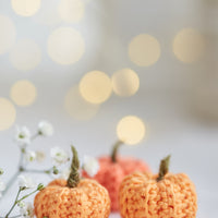 Miniature pumpkins