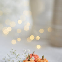Miniature pumpkins