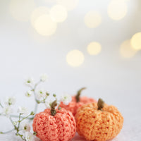 Miniature pumpkins