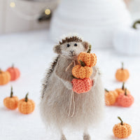 Miniature pumpkins