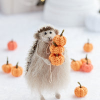 Miniature pumpkins