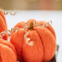 Set of 3 Felted Pumpkins