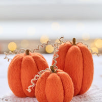 Set of 3 Felted Pumpkins