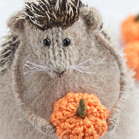 Hedgehog with Pumpkins