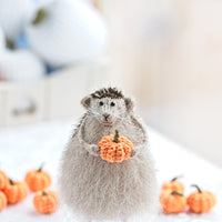 cute hedgehog gift