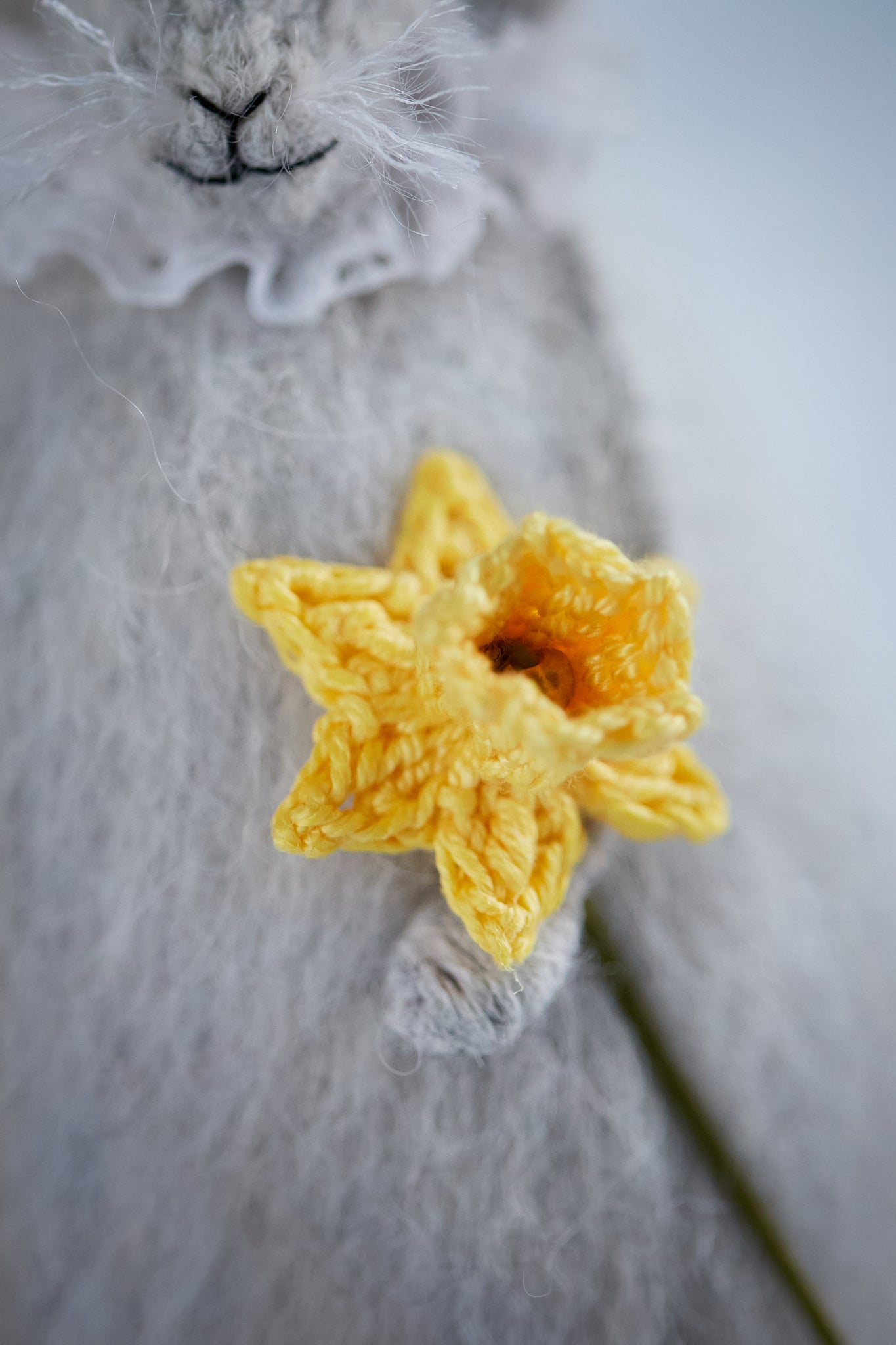 Mouse with a Daffodil